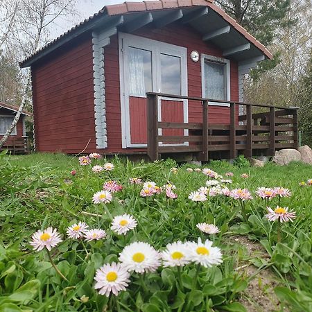 Готель Paeevatalu Camping Vilusi Екстер'єр фото