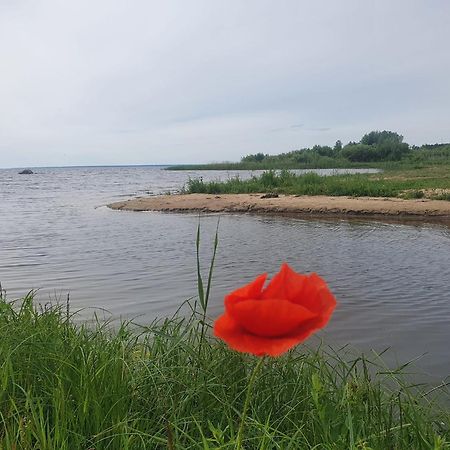 Готель Paeevatalu Camping Vilusi Екстер'єр фото