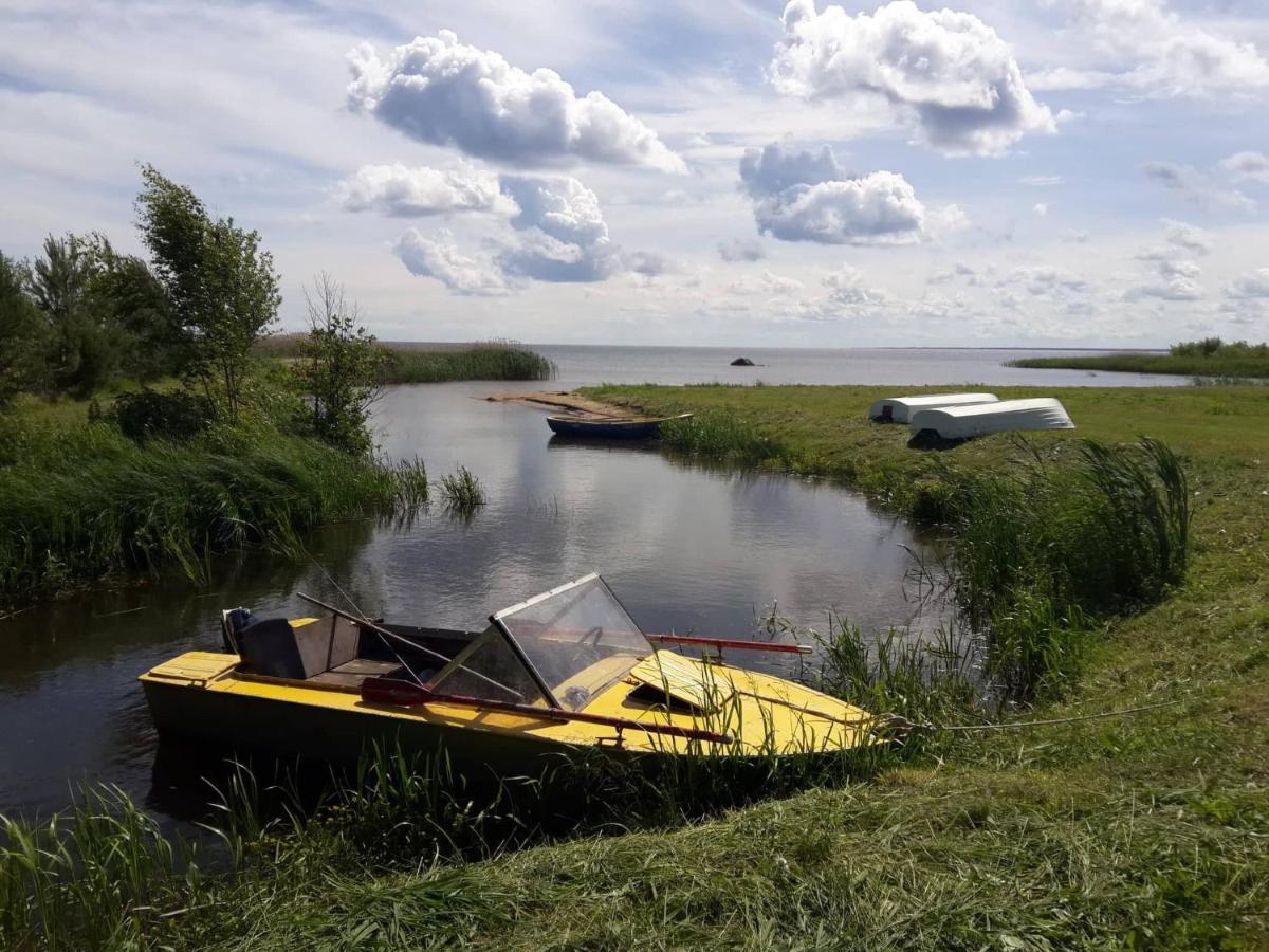 Готель Paeevatalu Camping Vilusi Екстер'єр фото
