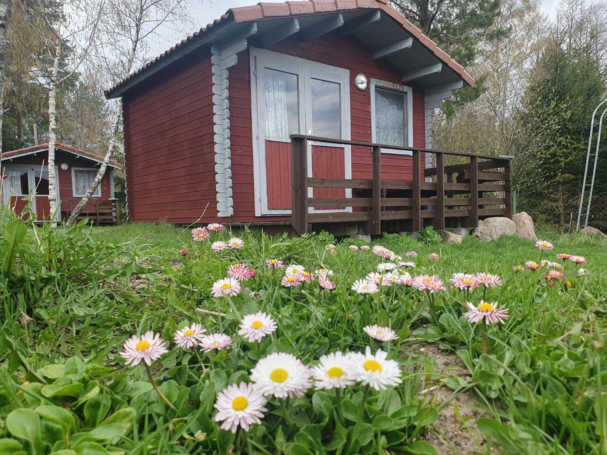 Готель Paeevatalu Camping Vilusi Екстер'єр фото