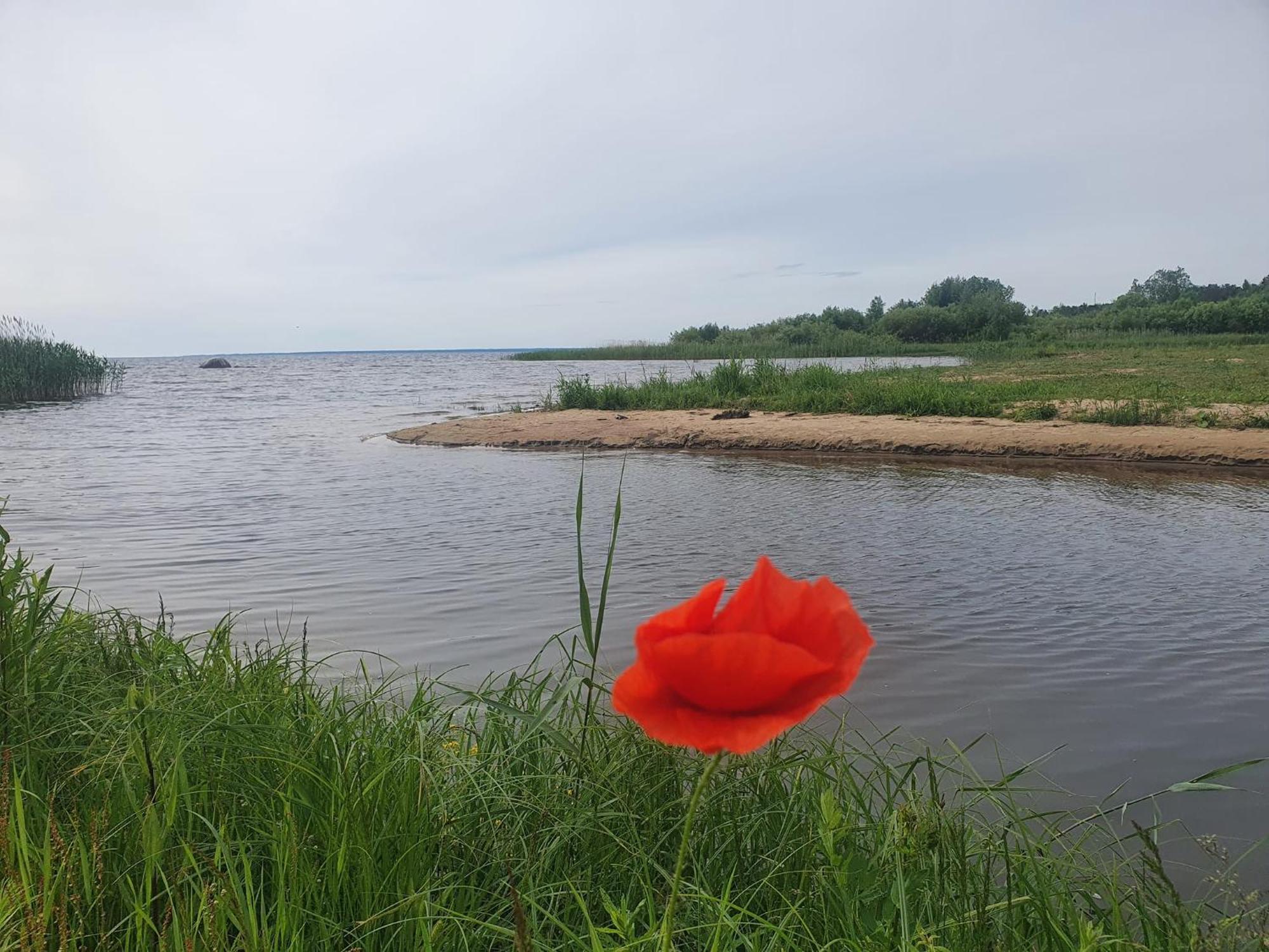 Готель Paeevatalu Camping Vilusi Екстер'єр фото